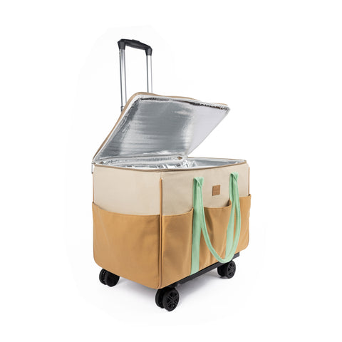 Trolley bag