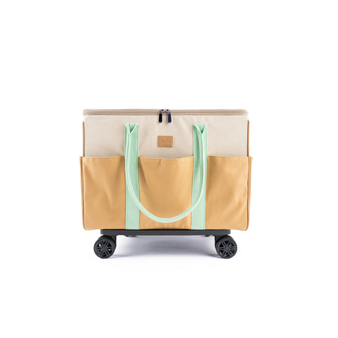 Trolley bag